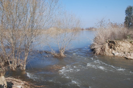 Aydın'da sel can aldı