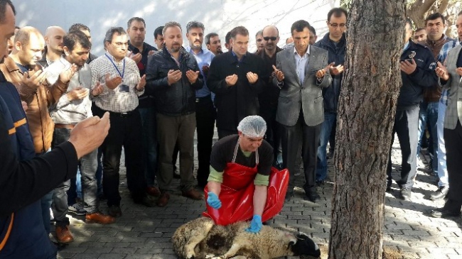 Aydın İl Emniyet Müdürlüğü kurban kesti