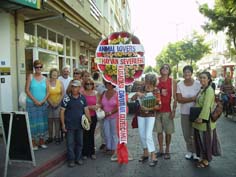 Davutlarda yabancı hayvanseverler barınak için harekete geçti