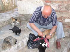 Yaşlı çift hergün 50 sokak hayvanını besliyor