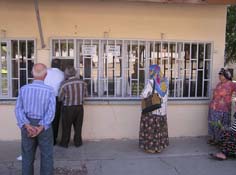 Türkiyenin ilk organik piliç ve yumurtaları yok satıyor