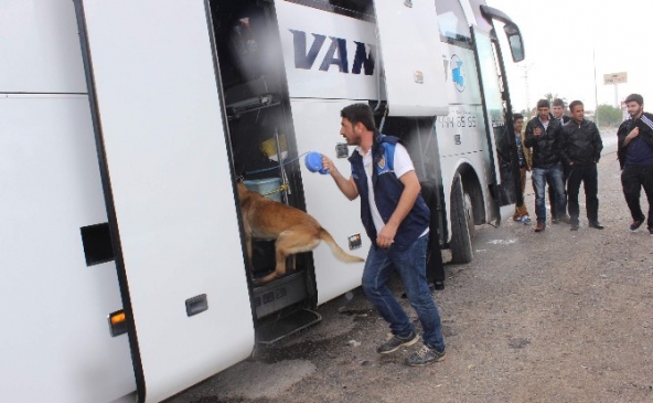 Narkotik polis köpeği Chaira uyuşturucu tacirlerinin korkulu rüyası oldu