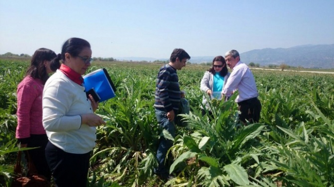 Taze meyve ve sebzelerde hasat öncesi sıkı denetim