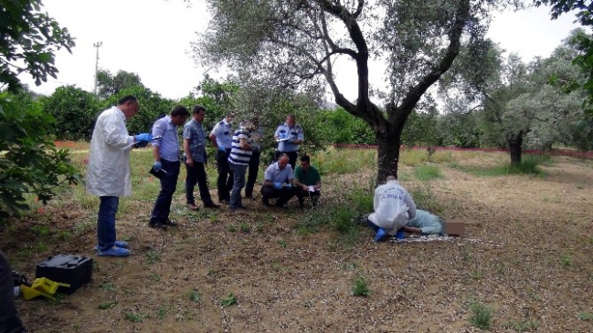 Aydın'da cezaevinden izinli çıkan şahıs intihar etti