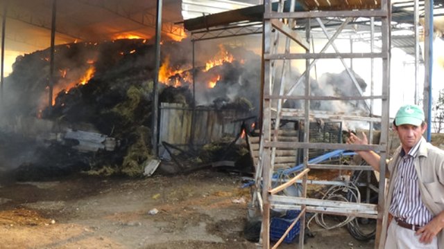 Aydın'da 250 ton saman 12 saattir yanıyor