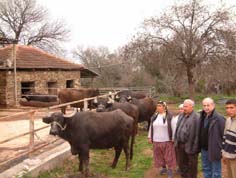 Damak tadı için