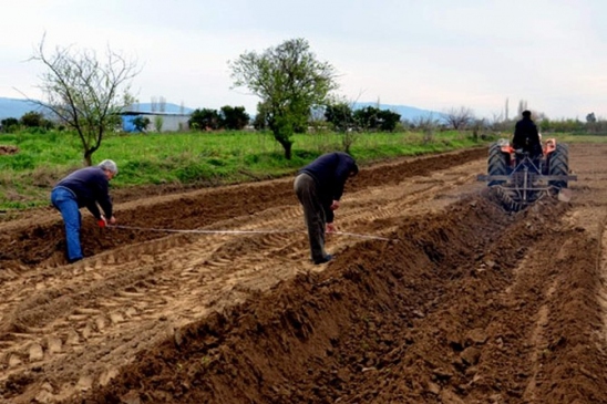 Akköy'de ek dağıtımda 24 ailenin tapuları hazır