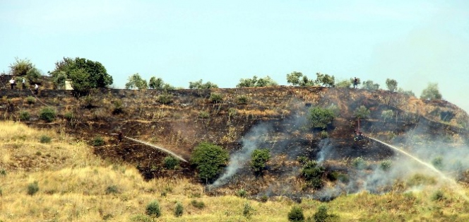 Aydın'da örtü yangını korkuttu