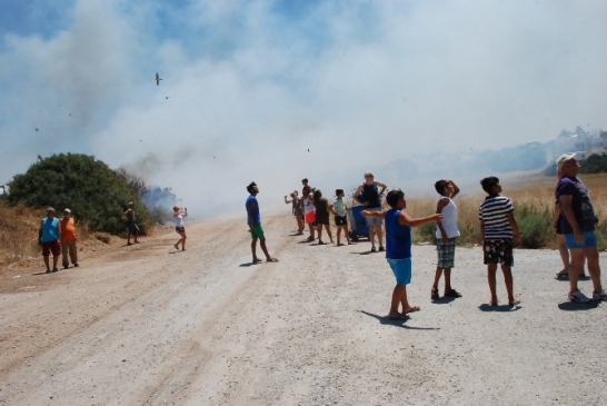 Didim'deki yangında 80 dekar arazi zarar gördü