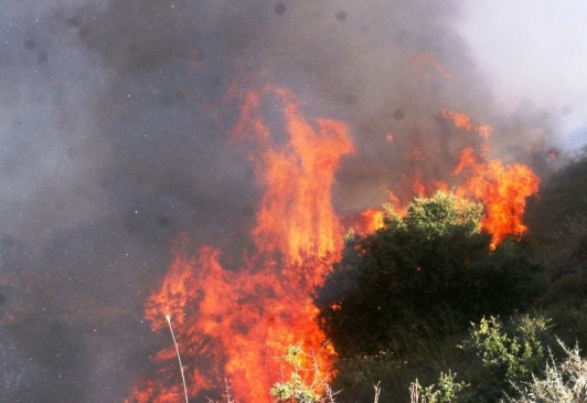 Muğla Orman Bölge Müdürü Kara'dan yangın uyarısı