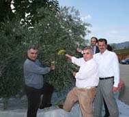 Zeytinde ithalat tartışması