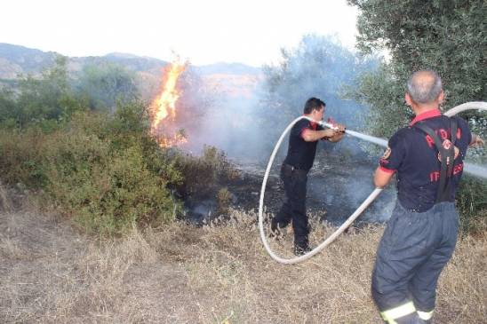 Aydın'da itfaiye ekipleri yangından yangına koştu