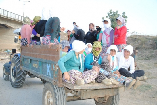 İş güvenliği sadece baret takmak değildir