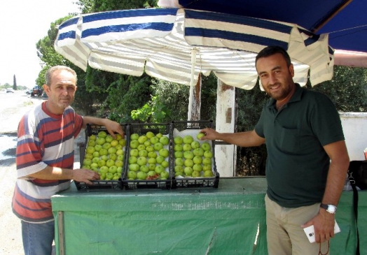 Aydın'da yılın ilk incirleri tezgahlarda yerini aldı