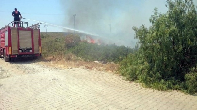 Didim'deki yangın sitelere sıçramadan söndürüldü