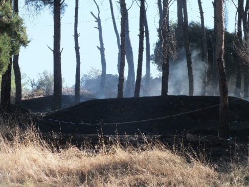 Yerleşim alanı yakınında çıkan yangın korkuttu