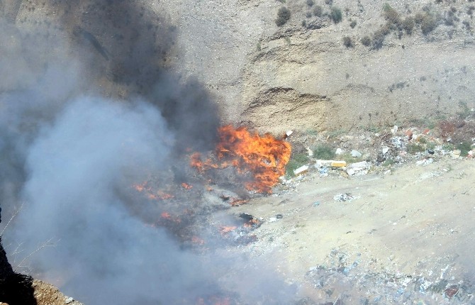 Aydın dört bir koldan yandı