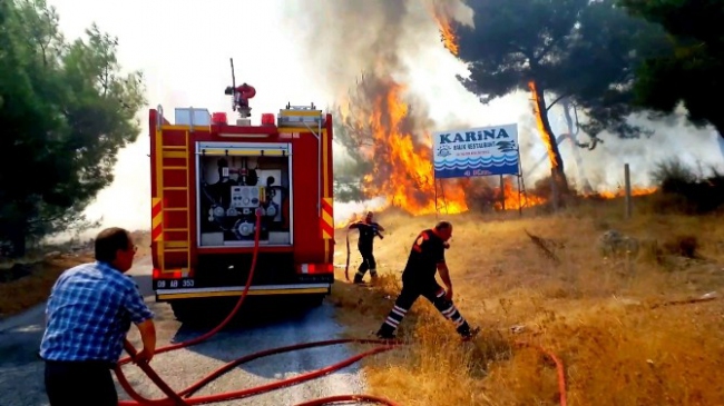 Söke'de orman yangını