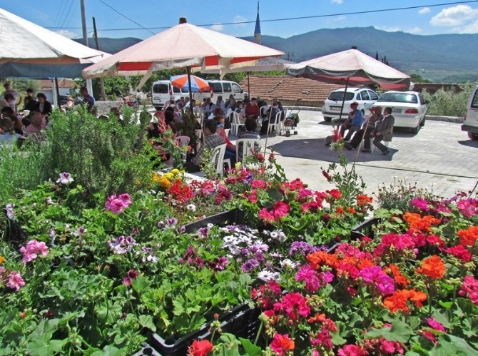 Kuşadası Caferli Güz Şenliği 5 Eylül'de yapılacak