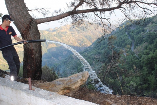 Seyir halindeki otomobilde başlayan yangın ormana sıçradı