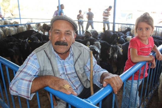 Aydın'da kurbanlıklar pazara çıktı