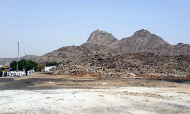 Hırsız maymunu kovalarken canından oldu