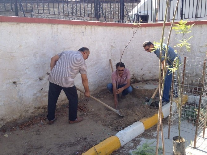 Öğretmenler fidanları fidan dikerek beklemeye başladı