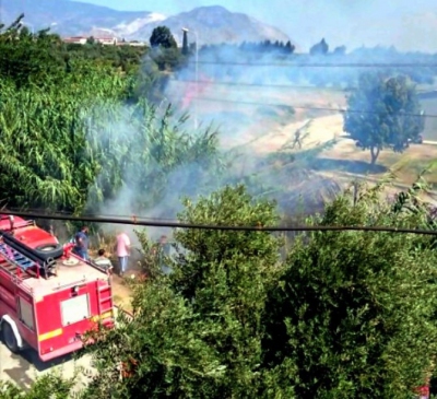 Söke'de sazlık alanda çıkan yangın korkuttu