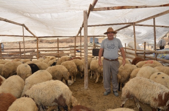 Kuşadası'nda Kurban Bayramı hazırlıkları tamamlandı