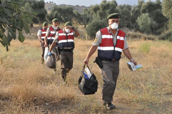 Kayıp genç, ağaçta asılı bulundu