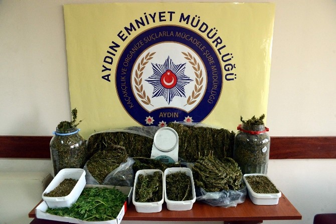 Öğrencileri zehirlemek isterken polise yakalandılar