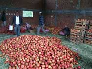 ürün deseni gündeme getirilmelidir