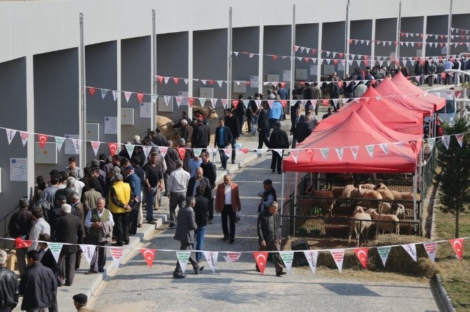 EXPO Canlı Hayvan Fuarında satış rekoru kırıldı