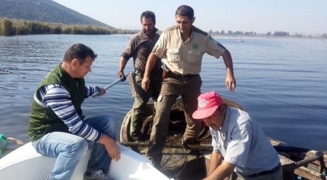 Bafa Gölü'nde tekneyle denetim yapılıyor