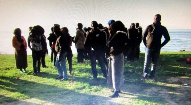 Didim'de 77 Suriyeli yakalandı