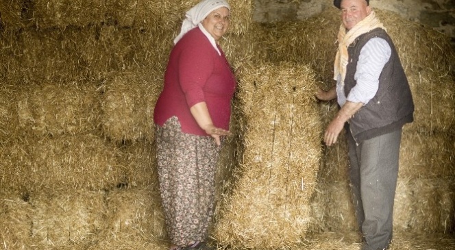 İki gönül bir olunca samanlık seyran oldu