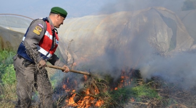 Uyuşturucu operasyonu