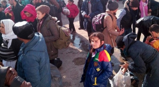 Didim'de 277 göçmen yakalandı