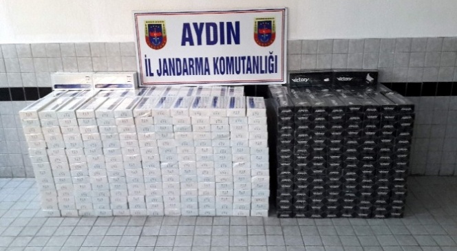 Aydın'da 6 bin paket kaçak sigara ele geçirildi