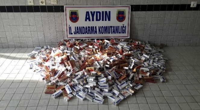 Aydın'da 1500 paket kaçak sigara yakalandı