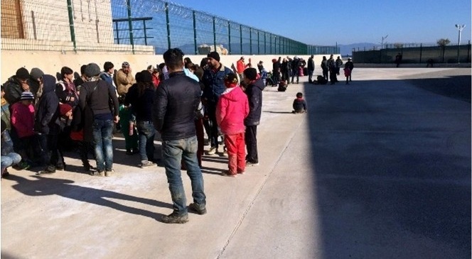 Didim'de 50 Suriyeli göçmen yakalandı