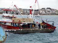 Kıyı Ege mülteci kaynıyor