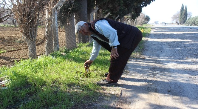 Devlete verdiği sözü tutmak için çöp topluyor