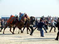 tülüler kapıştı, suyun ucu göründü!