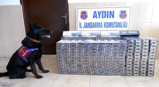 Aydın'da 7200 paket kaçak sigara yakalandı