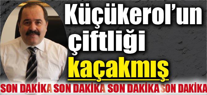 KÜÇÜKEROL'UN ÇİFTLİĞİ KAÇAKMIŞ...