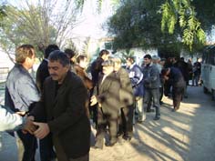 Burunköyde toplu bayramlaşma geleneği