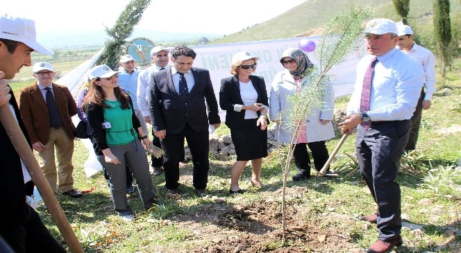 Aydın'da yenidoğan her bebeğin artık bir fidanı var