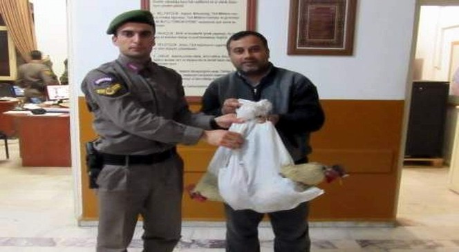 Hırsızın çaldığı tavukları jandarma geri getirdi