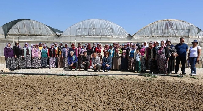 Başkan Çerçioğlu'ndan çiçek üreticilerine destek